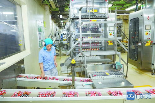 聚焦粵歐交流會② 計算機系統服務領域，歐洲企業在莞投資不斷加碼，投資東莞正當其時